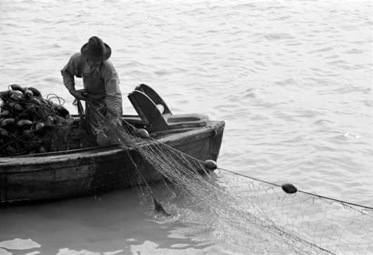 The Fisherman and Businessman